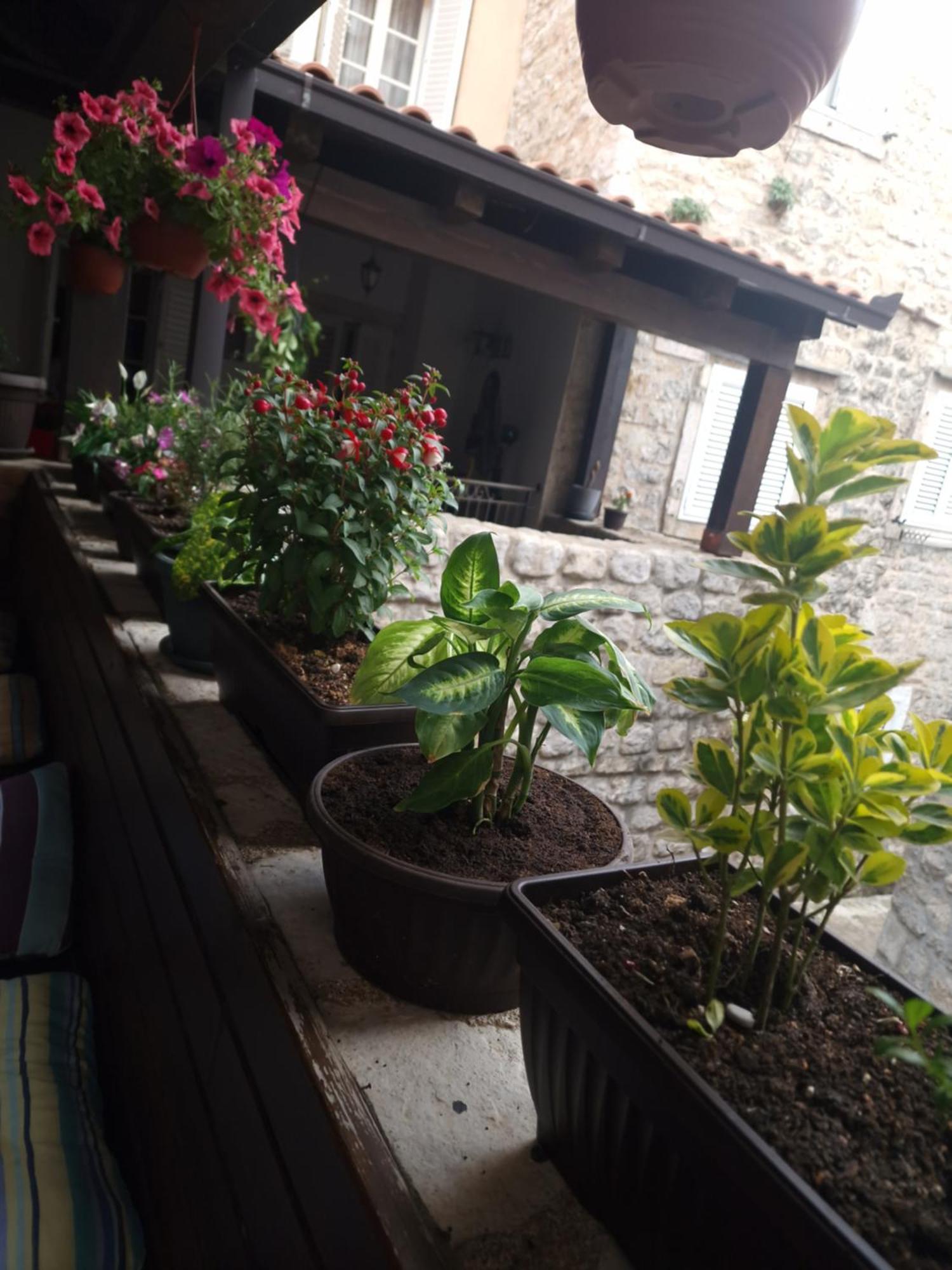 Rooms Dana Old Town 布德瓦 外观 照片